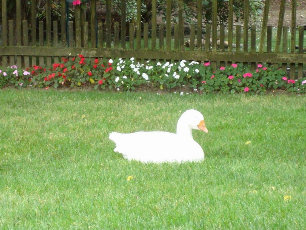 The Earl of Sandwich Motel Main image